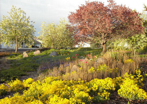 Blazing blooms in park that was donated and personally landscape by Herman I Neuman and his wife.